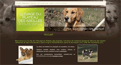 Desktop Screenshot of golden-azzopardi.fr